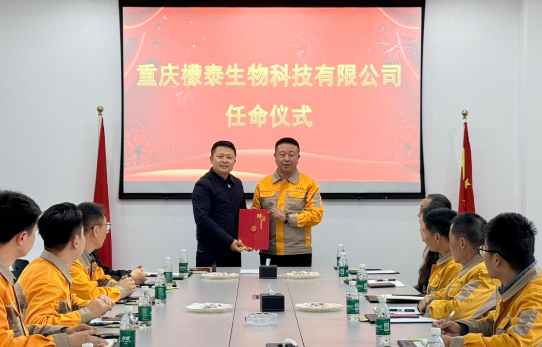 mmexport62cbcfa8407b2e63408820258d25c5ec_1762990514795_edit_652580746426985.png